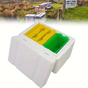 TEMU 단층 여왕벌 사육함 1세트, 벌집 여왕벌 짝짓기 상자, 벌통 양봉 장비, 여왕벌 번식용 필수 벌통