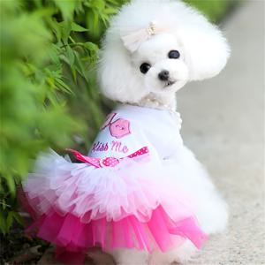 TEMU 시크한 핑크 & 블루 하트 립스 튤 강아지 드레스 - 봄, 여름 & 가을에 완벽 - 소형부터 초소형 견종에 이상적