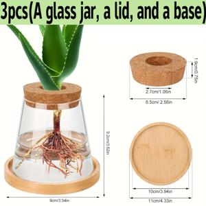 TEMU 3개 세트: 뚜껑과 받침대가 있는 투명 유리병 - 식물 번식 화분 급수대, 뚜껑과 나무 스탠드가 있는 유리 꽃병, 식물 번식용 유리 용기, 식물 절묘목, 수경 재배, 가정 및 사무실 장식용