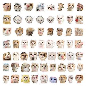 TEMU 귀여운 큰 얼굴 고양이 스티커 60장, 일회용 스티커, 노트북, 휴대폰, 스크랩북, 다이어리, 파티 선물, 공예, 장식용, 겨울, 새해, 생일 선물 등에 적합. 노트북 스티커 | 재미있는 스티커 디자인