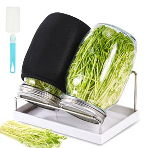 TEMU 배추기르기 키트, 2개 배추기르기 용기 키트, 와이드 마우스 쿼트 메이슨 용기 (스테인리스 스틸 스크린 배추기르기 뚜껑 포함), 1000ml 배추기르기 키트, 브로콜리, 콩, 알파파 배추 기르기용 씨앗 배추기르기 세트