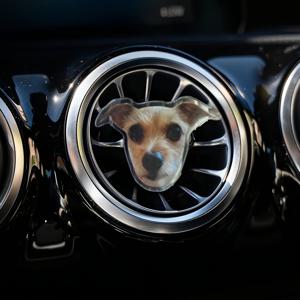 TEMU 1개 맞춤형 사진 차량 벤티 클립 - 반려동물 또는 가족 사진으로 개인화, 미끄럼 방지 그립, 대부분의 차량 호환 - 애완동물 사랑하는 사람을 위한 독특한 차량 장식, 운전자 생일/기념일 선물 - 쉬운 설치 자동차 내부 액세서리, 클립, 내구성 아크릴, 2D 평면