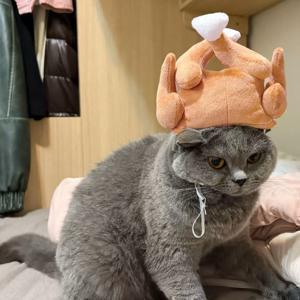 TEMU 웃긴 토끼 가슴 닭 다리 애완 동물 모자 - 고양이와 강아지용 부드럽고 편안한 휴일 애완 동물 코스튬, 추수감사절/크리스마스/할로윈/새해 파티 및 사진 촬영에 적합, 세척이 용이한 선물