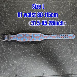 TEMU 1개 데몬 웨이트 리프팅 벨트 남녀공용 체육관 웨이트리프팅 벨트 허리 패딩 피트니스 벨트 파워리프팅 데드리프트 스쿼트 근력 트레이닝 요추 지지대