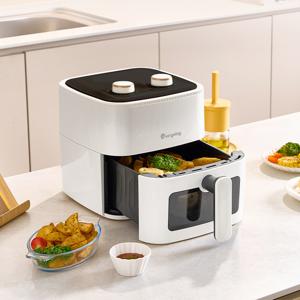 TEMU 에브리빙 보이는 에어프라이어 5L