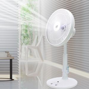 TEMU 엔티 5엽 날개 리모콘 발터치 선풍기