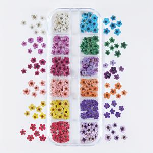 TEMU 360개/6구 mixed 컬러 생생한 복숭아꽃, 플라워 에폭시 레진 충전 세트, 주얼리, 공예 및 네일 디자인에 적합, 3D 목재 펄프 꽃 장식, 발렌타인데이 및 어버이날 선물, 하트 넘치는 레진 액체 몰드 충전 재료