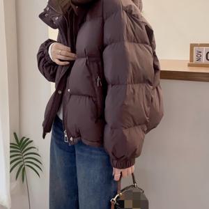 TEMU 가을 겨울 여성 패션 캐주얼 후드 루즈핏 따뜻한 재킷 코트