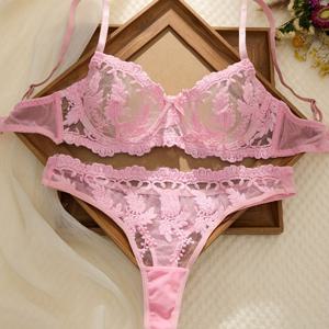 TEMU 여성용 크리스마스 섹시 의상, 핑크 꽃무늬 자수 란제리 세트, 시스루 언더와이어 브라와 팬티 2종 세트, 대담한 여성 의류, 매혹적인 브라와 팬티 세트, 순수한 욕망 스타일 여성 섹시 란제리 세트, 이국적인 여성 속옷, 여성용 데일리 브라 세트, 친밀한 자리에 적합, 발렌타인데이 선물