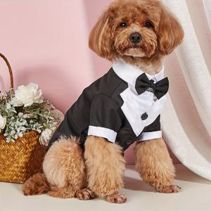 TEMU 반려동물 셔츠 소형견 옷 나비 넥타이 포함 웨딩 정장 코스튬