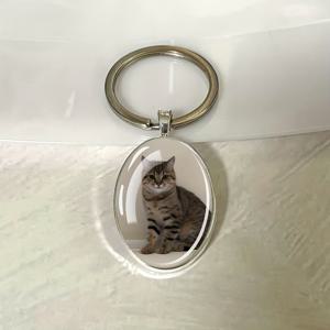 TEMU 1개 맞춤형 사진 여성 키체인 타원형 유리 돔 가방 차 키 걸이 장식 맞춤 사진 패션 키링 주얼리 생일 파티 선물 좋은 친구를 위한