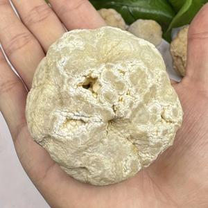 TEMU 미개봉된 아게이트 기도 에그 - 프레피 스타일 암석 클러스터 동굴 거친 표본, 창의적인 지질 선물, 홈 룸 거실 사무실 장식, 형성, 과학 표본, 독특한 수집품