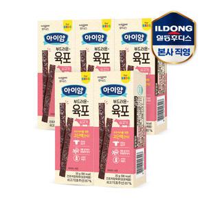 아이얌 부드러운 육포 쇠고기 30g 5개
