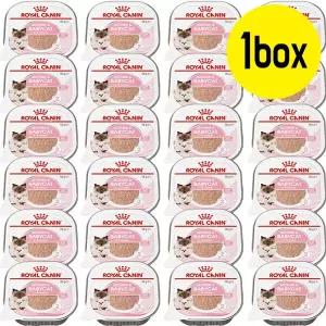 로얄캐닌 마더앤베이비 캔 100g 24개입(1box)