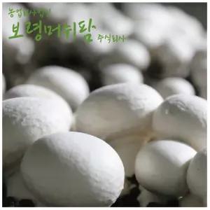 보령머쉬팜 갈색양송이파지2kg