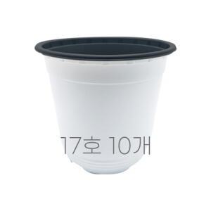 모두다 국내생산 플라스틱화분 플분 모종화분 이색포트 17호 백색 10개
