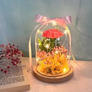 td 토단 취미키트 프리저브드 아크릴돔 카네이션 만들기 - 1인세트 LED전구포함 카네이션선물 꽃꽃이만들기