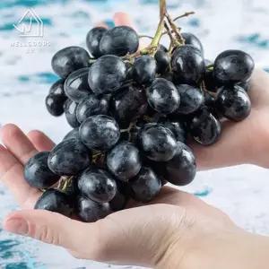 [웰굿] 달콤한 씨없는 세이블 블랙 포도 1kg(2-3수)