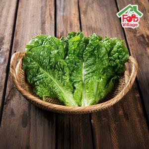 [푸드빌리지] 싱싱한 적상추 청상추 로메인 특품 4kg