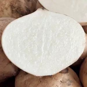 멕시코 감자 베트남 생으로 먹는 히카마 히까마 3kg