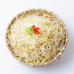 [천사푸드] 국내산 무농약 산소 콩나물 1kg
