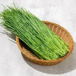 [푸드빌리지] 국내산 부추 4kg / 8kg 특품