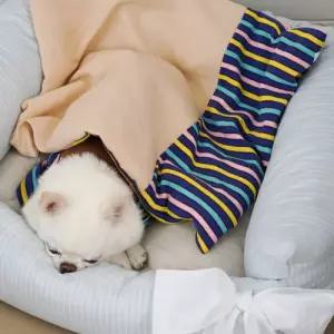 [롯데백화점]루이독 펑키 스너그 블랭킷 옥스포드 스트라이프 Mini