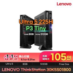 ThinkStation P3 Tiny Gen2 30K5S01B00 105만구매 인텔 울트라5 225 8GB NVMe512GB 워크스테이션 데스크탑PC