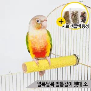 알록달록 두꺼운 발톱갈이 횃대 소 앵무새 소형 횟대