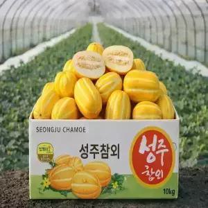 당일수확 고당도 성주 하우스 꿀 참외 못난이 가정용 5kg