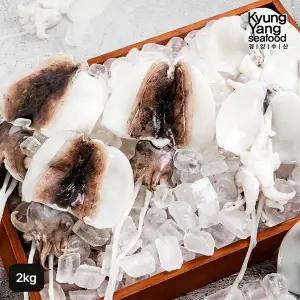 [NS홈쇼핑]국내산 손질 갑오징어 2kg (팩당 1미 150~250g 내외, 총 12~14팩)..[35687565]