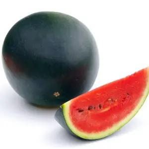프리미엄 고당도 국내산 흑수박 7kg 이상