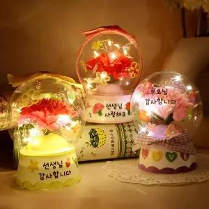 [아트박스]/도토리클래스 LED 카네이션 스노우볼 5set