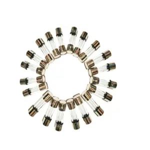 일반 0.5A/500mA 250V 유리 슬로우 블로우 퓨즈 5x20MM(20팩)