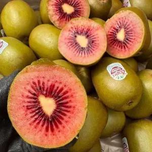 정품 제스프리 루비 레드 키위 10과 950g 중대과 제스프리 레드 루비키위 제스프리레드키위 제스프리루비