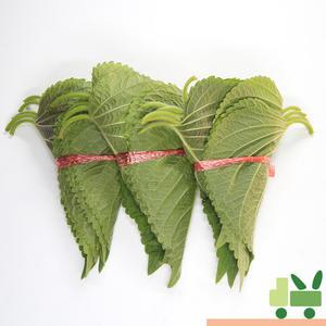 깻잎 (25묶음) 500g