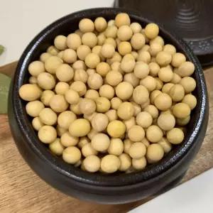 국산 백태 5kg 메주 콩 노란 흰 대두 콩국수 콩