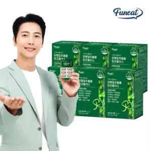 기억력 · 혈행개선 은행잎추출물 징코플러스 6박스 6개월분