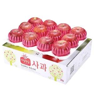 아침햇살사과 2.5kg 팬캡포장 사과 2.5kg 11 ~ 14과 팬캡 포장