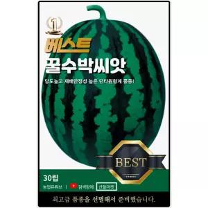베스트 꿀수박 씨앗 30립 당도 높고 상품성 우수한 수박씨 종자