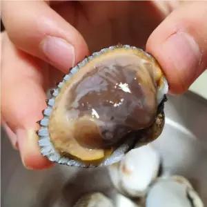 벌교 왕꼬막 새꼬막 1kg 대사이즈 15-20미