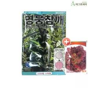 그린하트 영웅 참깨 3000립 씨앗 씨 종자
