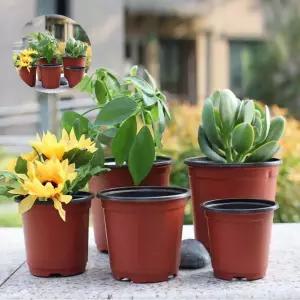 플라스틱 연질화분 모종포트 15cm 경량 식물재배 이색