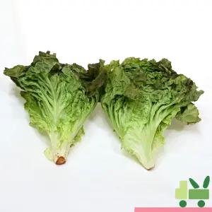 적포기 2Kg