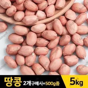 땅콩 5kg 생땅콩 견과 햇땅콩 10kg주문시+500g줌