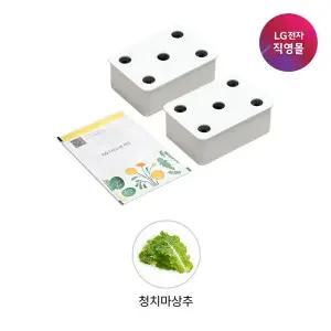 [LG] [LG전자 직영][택배배송] 틔운 씨앗키트 LPM41 청치마상추 (전제품 호환)