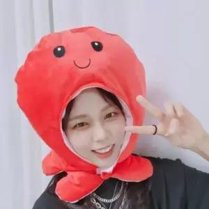 (색상 문어머리탈(008))인생 네컷 생일 파티 소품 코스튬 문어 양면 인형탈