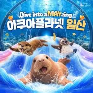 [일산] 아쿠아플라넷 입장권(5/1~5/31)