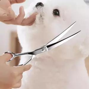 고양이 애견 미용 가위 커브 반려동물 가위 강아지 동물