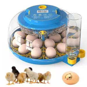 부화란 인큐베이터 자동 계란 회전 및 습도 조절 기능이 있는 8 360 뷰 De Huevos Gallina 캔들러 닭 알
